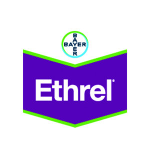 Agristar BAYER ETHREL SL240 100770045