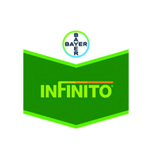Agristar BAYER INFINITO SC6875 100770047