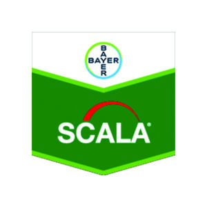Agristar BAYER SCALA SC600 100770051