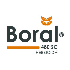 Agristar FMC BORAL 480 SC 100260011