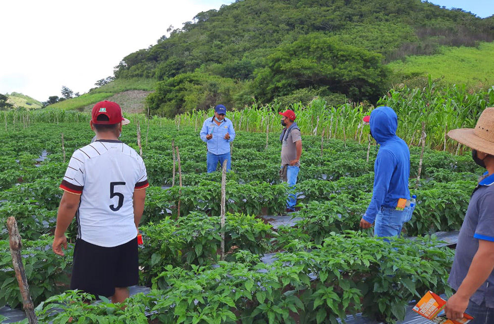 Agristar Mexico Equipo Agristar Mexico Equipo