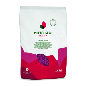 Agristar PAPALOTLA PASTO MESTIZO BLEND 101220028