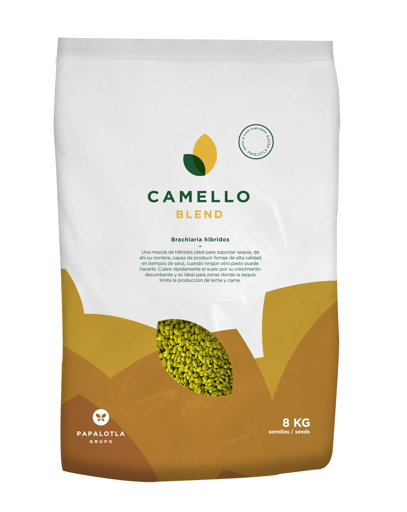 PASTO CAMELLO BLEND