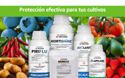 Noticias Agri Star 5 ¡Alianzas que abren camino en la industria agrícola!