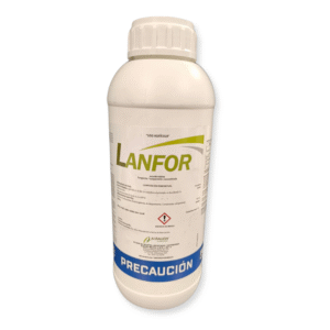 LANFOR