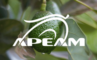Noticias Agri Star 5 Expo APEAM: Innovación y oportunidades para la industria del aguacate en Uruapan, Michoacán